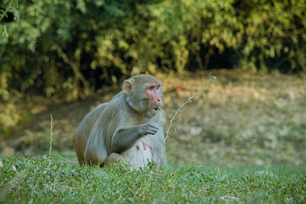 Aqua2000 : solution innovante pour le traitement de l'eau domestique